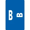 Smead® Alpha-Z Color-Coded Second Letter "B" Labels, 10 Labels Per Sheet, Dark Blue, 1"H x 1 5/8"W, 100 Labels/Pk