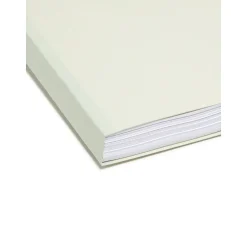 Smead Heavy Duty File Folder, 1/3-Cut Tab, 1