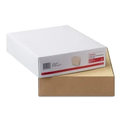 Staples 100% Recycled File Folder, Single Tab, Letter Size, 100/Box (ST393125/393125)