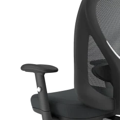 Staples Carder Ergonomic Fabric Swivel Computer and Desk Chair, Black (24115-CC)