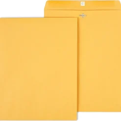 Staples Clasp & Moistenable Glue #15.5 Kraft Catalog Envelopes, 12" x 15.5", Brown, 100/Box (472902/19273)