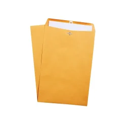 Staples Clasp & Moistenable Glue #15.5 Kraft Catalog Envelopes, 12