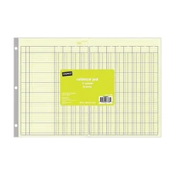 Staples® Columnar Book, 12 Columns, 16.31" x 11", Green, 50 Sheets/Book (217885)