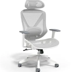 Staples Dexley Ergonomic Mesh Swivel Task Chair, Gray (UN61365)