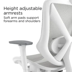 Staples Dexley Ergonomic Mesh Swivel Task Chair, Gray (UN61365)
