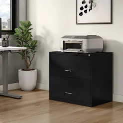 Staples 2-Drawer Lateral File Cabinet, Letter/Legal Size, Lockable, 27.3