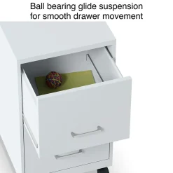 Staples 2-Drawer Mobile Vertical File Cabinet, Letter Size, Lockable, 26.3