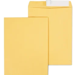 Staples EasyClose Kraft Catalog Envelopes, 10"L x 13"H, Brown, 100/Box (381969/19023)