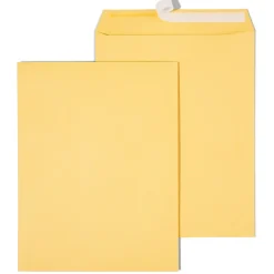 Staples EasyClose Kraft Catalog Envelopes, 10"L x 13"H, Brown, 250/Box (479889/14238)