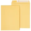 Staples EasyClose Self Seal #10 1/2 Kraft Catalog Envelope, 9" x 12", Brown, 250/Box (ST479888-CC)