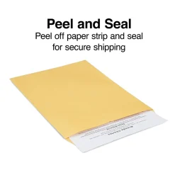 Staples EasyClose Self Seal #10 1/2 Kraft Catalog Envelope, 9" x 12", Brown, 250/Box (ST479888-CC)