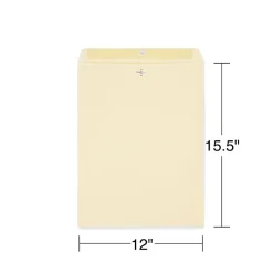 Staples Extra-Heavyweight Clasp & Moistenable Glue #15 1/2 Catalog Envelope, 12" x 15 1/2", Beige, 100/Box (ST122150-CC)
