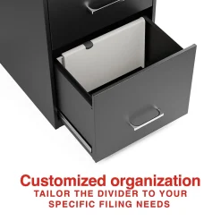 Staples File Cabinet Drawer Divider (TR62604)