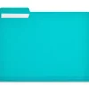 Staples File Folder, 1/3-Cut Tab, Letter Size, Teal, 100/Box (ST62567)