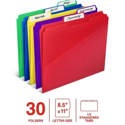 Staples File Folder, 1/3-Cut Tab, Letter Size, Plastic, Assorted Colors, 30/Box (ST62541)