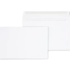 Staples Gummed Booklet Envelopes, 6" x 9", White, 250/Box (472852/19306)