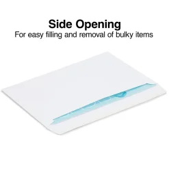 Staples Gummed Booklet Envelopes, 6" x 9", White, 250/Box (472852/19306)