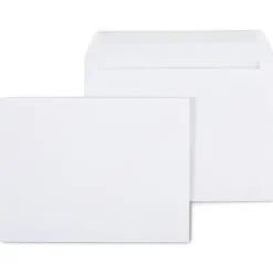Staples Gummed Booklet Envelopes, 9" x 12", White, 100/Box (473009/19307)
