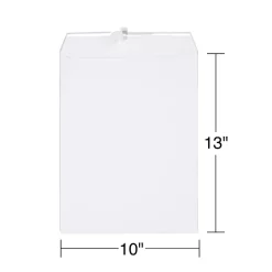 Staples Gummed Catalog Envelopes, 10