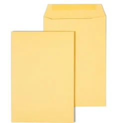 Staples Gummed Kraft Catalog Envelopes, 6.5" x 9.5", Brown, 100/Box (SPL534701)