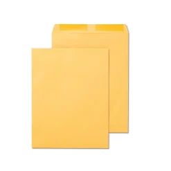 Staples Gummed Kraft Catalog Envelopes, 12" x 15.5", Brown, 100/Box (SPL534784)