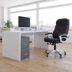 Staples Light Duty 2-Drawer Mobile Vertical File Cabinet, Letter Size, Lockable, 24.1