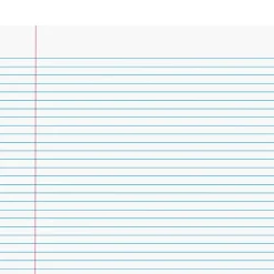 Staples Notepads, 8.5