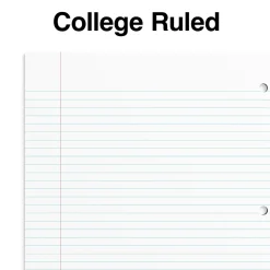 Staples Premium 1-Subject Notebook, 8.5