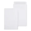Staples Self Seal #1 Catalog Envelopes, 6"L x 9"H, White, 100/Box (SPL609121)