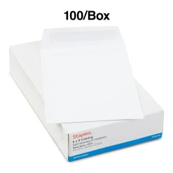 Staples Self Seal #1 Catalog Envelopes, 6