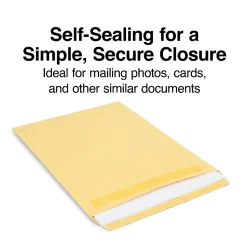 Staples Self Seal Kraft Catalog Envelopes, 9"L x 12"H, Brown, 250/Box (486931/14245)