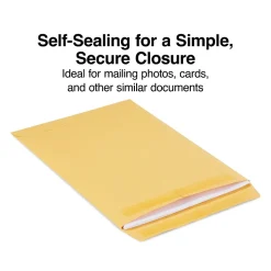 Staples Self Seal Kraft Catalog Envelopes, 9"L x 12"H, Brown, 100/Box (534800/17104)