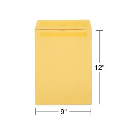 Staples Self Seal Kraft Catalog Envelopes, 9