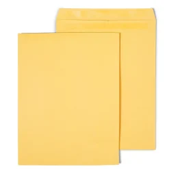 Staples Self Seal Kraft Catalog Envelopes, 12" x 15.5", Brown, 100/Box (534826/17102)