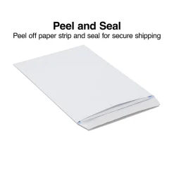 Staples Self Seal Security Tinted Catalog Envelopes, 9" x 12", White, 100/Box (21574)