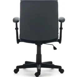 Staples Traymore Ergonomic Faux Leather Swivel Computer and Desk Chair, Gray (53246)
