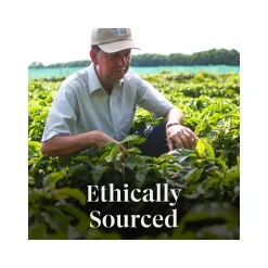 Starbucks Peppermint Mocha Coffee Keurig K-Cup Pods, Light Roast, 22/Box (12437832)