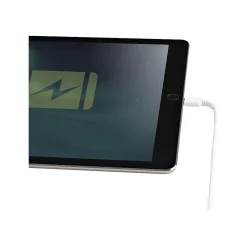 StarTech.com Lightning USB Cable for iPhone/iPad/iPod Touch, White (RUSBLTMM30CMW)