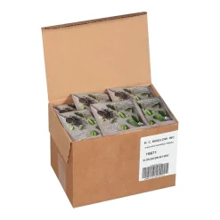 Steep Café Organic English Breakfast Tea, 50 Count (RCB19971)