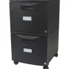 Storex 2-Drawer Mobile Vertical File Cabinet, Letter Size, Lockable, 18.25"H x 14.75"W x 26"D, Black (STX61312U01C)