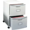 Storex 2-Drawer Mobile Vertical File Cabinet, Letter/Legal Size, Lockable, 26"H x 14.75"W x 18.25"D, Gray (61301B01C)