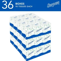 Surpass Cube Facial Tissue, 2-ply, White, 90 Sheets/Box, 36 Boxes/Carton (21320)