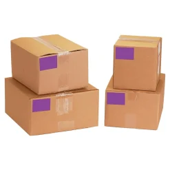 Tape Logic 3" x 5" Rectangle Inventory Label, Purple, 500/Roll