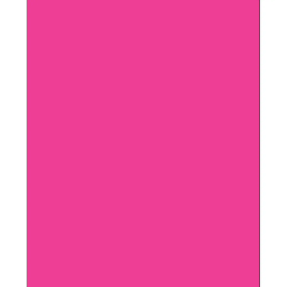 Tape Logic® Rectangle Laser Labels, 8 1/2" x 11", Fluorescent Pink, 100/Case (LL185PK)