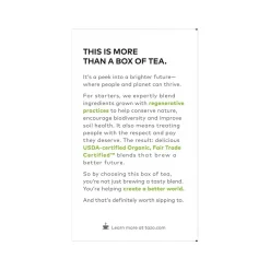 Tazo Green Ginger Green Tea Bag, 1.23 Oz., 16/Box (10794522003560)