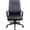 Tempur-Pedic Ergonomic Leather Swivel Executive Chair, Black (TP2500-BLKL)