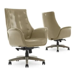 Thomasville Furniture Brooks Ergonomic Bonded Leather Swivel Executive Chair, Taupe (51493-TP)