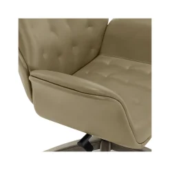 Thomasville Furniture Brooks Ergonomic Bonded Leather Swivel Executive Chair, Taupe (51493-TP)