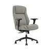 Thomasville Furniture Darius Ergonomic Bonded Leather Swivel Executive Chair, Gray (51490-GRY)