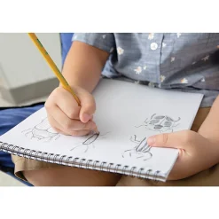 Ticonderoga Wooden Pencil, #3 Hard Lead, 6/Pack (13883)